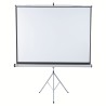 ECRAN proiectie  NOBO, manual, format 4 : 3, fixare trepied, 200 x 150 cm, "1902397"