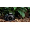 Camera foto CANON kit EOS-4000D+EF-S 18-55mm DCIII,18.7MP,2.7" TFT fixed DIGIC 4+,3 cadre/sec, ISO 100-6400,FullHD movies,30-1/4