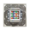 PRIZA RJ-45 aplicabila cu 2 iesiri | PRIZA RJ-45 incastrabila cu 2 iesiri LOGILINK pt. cablu FTP, Cat6, Krone (LSA) x 2 | RJ-45 