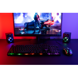 BOXE SPACER Gaming 2.1, RMS: 11W (2 x 3W + 5W), control volum, bass si inalte, subwoofer lemn MDF, 3 x LED, USB power, black, "S