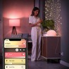 CONECTOR inteligent PHILIPS, Schuko x 1, conectare prin Schuko (T), 16 A, programare prin smartphone, Bluetooth, alb, "000008718