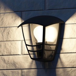 FELINAR exterior PHILIPS, filament, soclu E27, putere 60 W, tip lumina alb, alimentare 220 - 230 V, "000008718291443520" (timbru