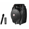 BOXE portabile AKAI, troller 1.0, RMS 30 W, microfon wireless, Bluetooth, cu fir,telecomanda wireless, conector Bluetooth, alime