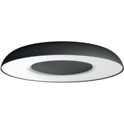 APLICA smart PHILIPS, LED, soclu integrat, putere 32 W, tip lumina alb calda, 2.400 lumeni, alimentare 220 - 230 V, "00000871869