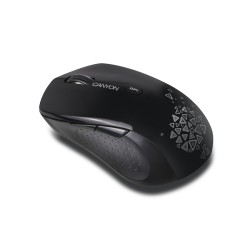 MOUSE CANYON "CNS-CMSW4B"