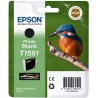 Cartus Cerneala Original Epson Photo Black, C13T15914010, pentru Stylus Photo R2000, , (timbru verde 0.15 lei),  "C13T15914010"
