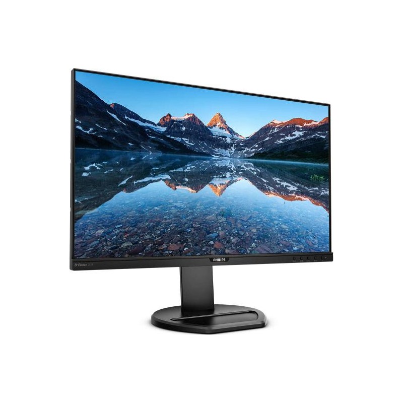 MONITOR PHILIPS 25", home, office, IPS, Full HD+ (WUXGA) (1920 x 1200), Wide, 300 cd/mp, 5 ms, HDMI, DVI, VGA, DisplayPort, "252