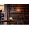 LAMPA PHILIPS, LED, soclu integrat, putere 3 W, tip lumina alb, 100 lumeni, alimentare 5 V, "000008718696163481" (timbru verde 0