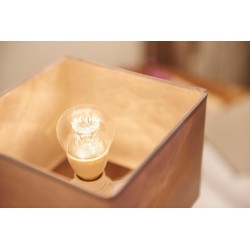 BEC LED Philips, soclu E14, putere 6W, forma clasic, lumina alb calda, alimentare 220 - 240 V, "000008718696453568" (timbru verd