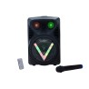BOXA SPACER portabila bluetooth WildCat, tip troler, RMS:  35W, 8" woofer, acumulator 3.7V 1800 mAh, input : AUX audio, USB/micr