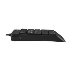 TASTATURA numerica A4TECH Fstyler, 18 taste, USB, 150cm, compact design, black, "FK-13P-BK" (timbru verde 0.8 lei)
