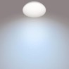 PLAFONIERA PHILIPS, LED, soclu integrat, putere 17 W, tip lumina alb calda, 1700 lumeni, alimentare 220 - 230 V, "00000871869968