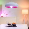 BEC smart LED Philips, soclu E27, putere 11W, forma sferic, lumina multicolora, alimentare 220 - 240 V, "000008718699786359" (ti
