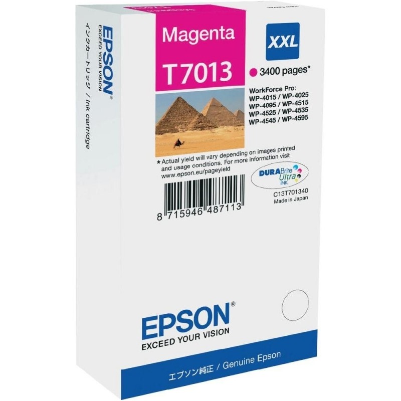 Cartus Cerneala Original Epson Magenta, T7013, pentru WP4000|4500,  , (timbru verde 0.15 lei), "C13T70134010"(RAPO)