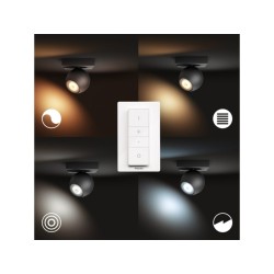 Spot luminos Philips Buckram Hue, ZigBee "000008718696175743" (timbru verde 2.00 lei)