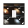Spot luminos Philips Buckram Hue, ZigBee "000008718696175743" (timbru verde 2.00 lei)