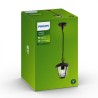 FELINAR PHILIPS E27 8718291443506 "000008718291443506" (timbru verde 2.00 lei)