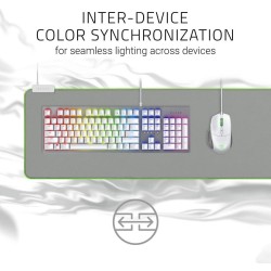 MOUSEPAD Razer Goliathus Extended Chroma "RZ02-02500314-R3M1"