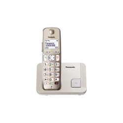 Telefon DECT, argintiu, KX-TGE210FXN, ideal pentru SENIORI "KX-TGE210FXN" (timbru verde 0.8 lei)