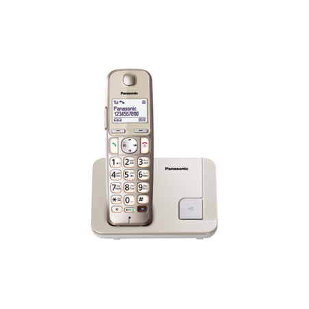 Telefon DECT, argintiu, KX-TGE210FXN, ideal pentru SENIORI "KX-TGE210FXN" (timbru verde 0.8 lei)