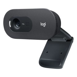 LOGITECH C505e - BLK - USB - N/A - WW   Video Collaboration Group, "960-001372" (timbru verde 0.18 lei)