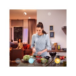 PENDUL LED PHILIPS HUE CHER "000008718696175101" (timbru verde 2.00 lei)