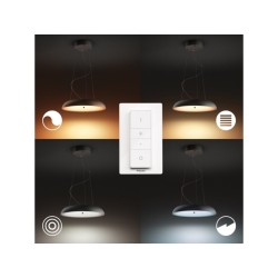 LUSTRA LED PHILIPS HUE AMAZE, "000008718696175163" (timbru verde 4.00 lei)