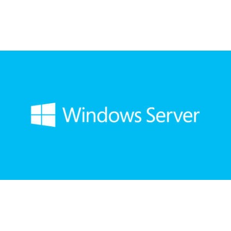 Windows Server Std 2019 English 1pk DSP OEI 2Cr NoMedia/NoKey (APOS) AddLic, "P73-07828"
