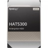 HDD SYNOLOGY 12TB, 7.200 rpm, buffer 256 MB, pt server, "HAT5300-12T" (timbru verde 0.8 lei)