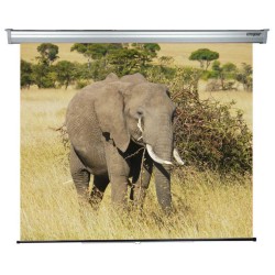 ECRAN proiectie SOPAR, manual, format 1 : 1, fixare perete | tavan, 200 x 210 cm, "SP3200PL"