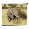ECRAN proiectie SOPAR, manual, format 1 : 1, fixare perete | tavan, 200 x 210 cm, "SP3200PL"