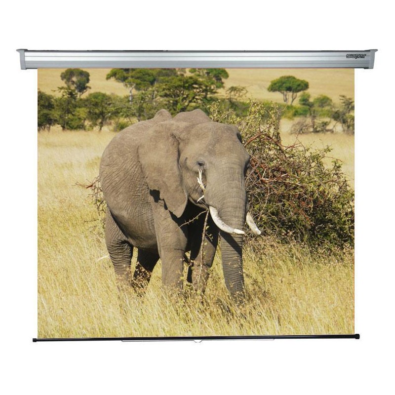 ECRAN proiectie SOPAR, manual, format 1 : 1, fixare perete | tavan, 200 x 210 cm, "SP3200PL"