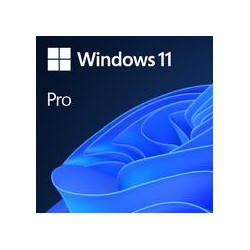 Licenta Win 11 Pro 64Bit Eng Intl 1pk DSP OEI DVD "FQC-10528"