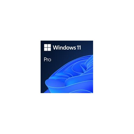 Licenta Win 11 Pro 64Bit Eng Intl 1pk DSP OEI DVD "FQC-10528"