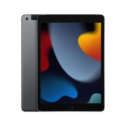 Apple iPad 9 10.2" Cellular 256GB Grey, "MK4E3HC/A" (timbru verde 0.9 lei)
