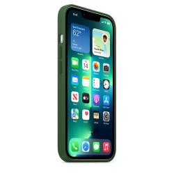 HUSA Smartphone Apple, pt iPhone 13 Pro, tip back cover (protectie spate) cu MagSafe, silicon, MagSafe, verde, "mm2f3zm/a"