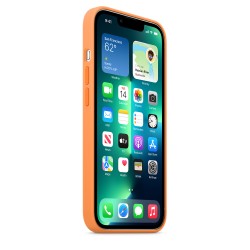HUSA Smartphone Apple, pt iPhone 13 Pro, tip back cover (protectie spate) cu MagSafe, silicon, MagSafe, portocaliu, "mm2d3zm/a"