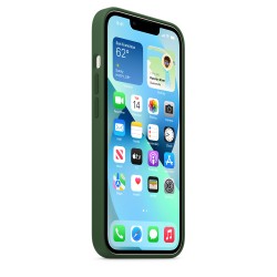 HUSA Smartphone Apple, pt iPhone 13, tip back cover (protectie spate) cu MagSafe, silicon, MagSafe, verde, "mm263zm/a"
