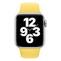 Apple Watch 40mm Band: Ginger Sport Band - Regular (Seasonal Fall 2020), "mgqr3zm/a"