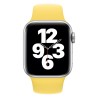Apple Watch 40mm Band: Ginger Sport Band - Regular (Seasonal Fall 2020), "mgqr3zm/a"