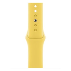 Apple Watch 40mm Band: Ginger Sport Band - Regular (Seasonal Fall 2020), "mgqr3zm/a"