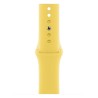 Apple Watch 40mm Band: Ginger Sport Band - Regular (Seasonal Fall 2020), "mgqr3zm/a"