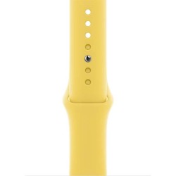 Apple Watch 44mm Band: Ginger Sport Band - Regular (Seasonal Fall 2020), "mgqq3zm/a"