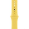 Apple Watch 44mm Band: Ginger Sport Band - Regular (Seasonal Fall 2020), "mgqq3zm/a"
