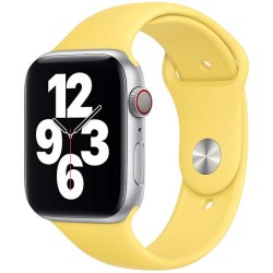 Apple Watch 44mm Band: Ginger Sport Band - Regular (Seasonal Fall 2020), "mgqq3zm/a"