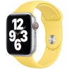 Apple Watch 44mm Band: Ginger Sport Band - Regular (Seasonal Fall 2020), "mgqq3zm/a"
