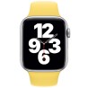 Apple Watch 44mm Band: Ginger Sport Band - Regular (Seasonal Fall 2020), "mgqq3zm/a"