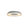 CORPURI de ILUMINAT Philips Still Hue ceiling lamp aluminium "000008719514341333" (timbru verde 2.00 lei)