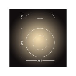 CORPURI de ILUMINAT Philips Still Hue ceiling lamp aluminium "000008719514341333" (timbru verde 2.00 lei)