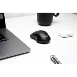 MOUSE  Spacer, PC sau NB, wireless, 2.4GHz, optic, 1200 dpi, butoane/scroll 3/1, , negru, "SPMO-W12" (timbru verde 0.18 lei)